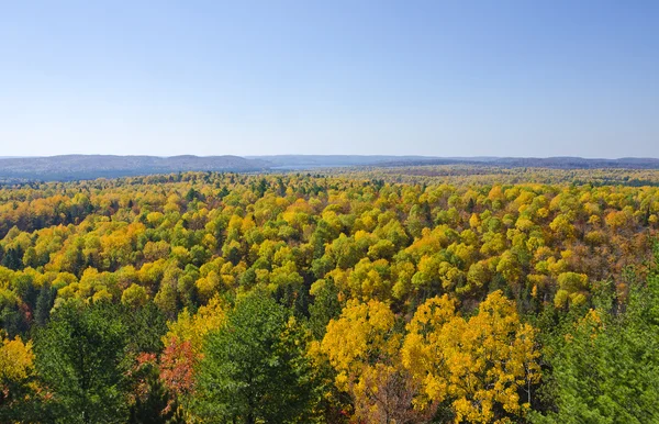 Herbstfarben von einer Klippe aus gesehen — Stockfoto