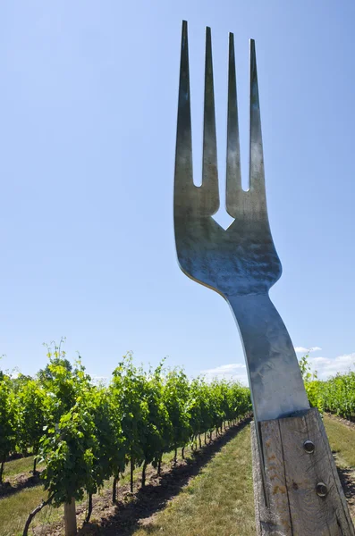Vineyard and fork — Stock Photo, Image