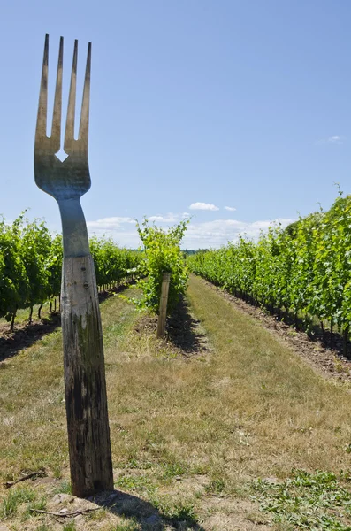 Vineyard and fork — Stock Photo, Image