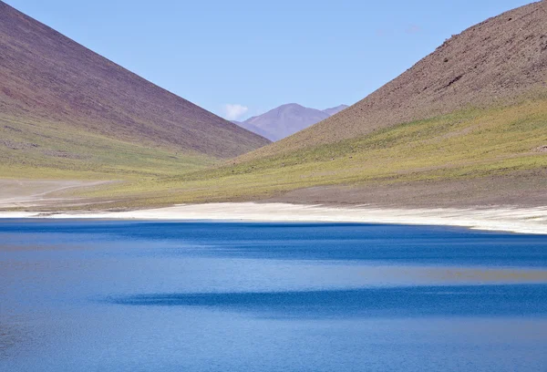 Minisques Lagoon Altiplano Chile — Stock Photo, Image