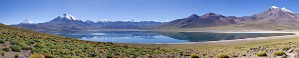 Panorama of Miscanti Lagoon Altiplano Chile — Stock Photo, Image