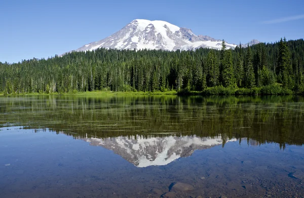 Mount Rainier — Stockfoto