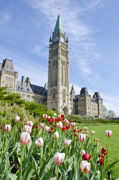 Parliament Hill (Ottawa) y Tulipanes — Foto de Stock