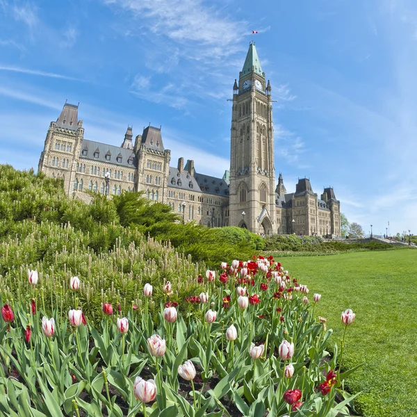 Gedung Parlemen Ottawa dan Tulip — Stok Foto