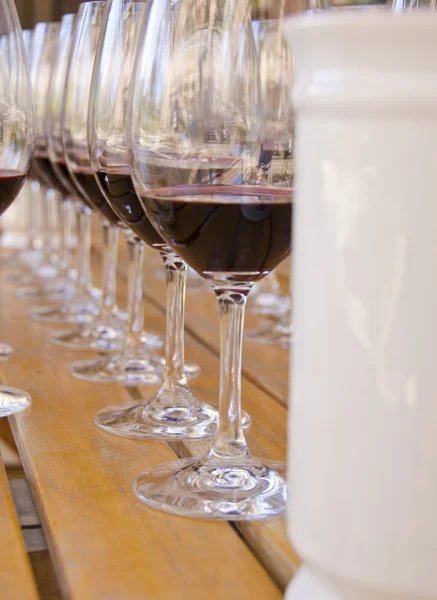 Degustación de vinos al aire libre — Foto de Stock