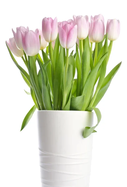 Flores de Tulipán Rosa Primavera Aisladas en Blanco —  Fotos de Stock