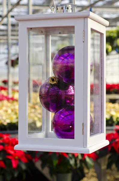 Christmas Poinsettias and Decorations in a Plant Nursery — Stok Foto