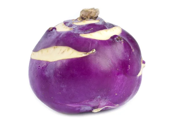 Purple kalarepa — Zdjęcie stockowe