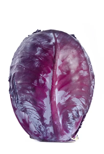 Red Cabbage Isolated on White — Stock Photo, Image
