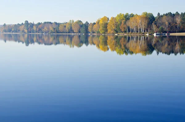 Reflexão de árvores em um lago — Fotografia de Stock