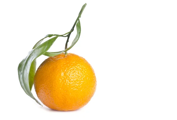 Satsuma Oranges Isolated on White — Stock Photo, Image