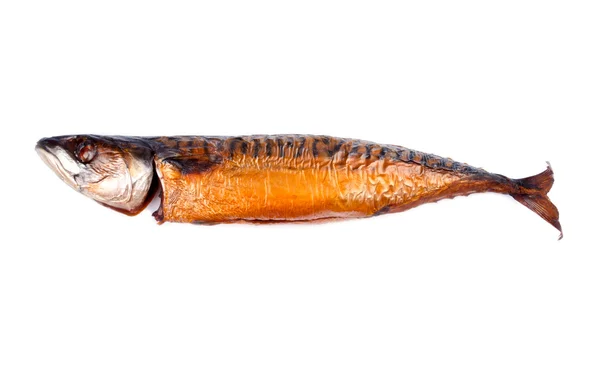 Teplé uzené makrely ryby izolované na bílém — Stock fotografie