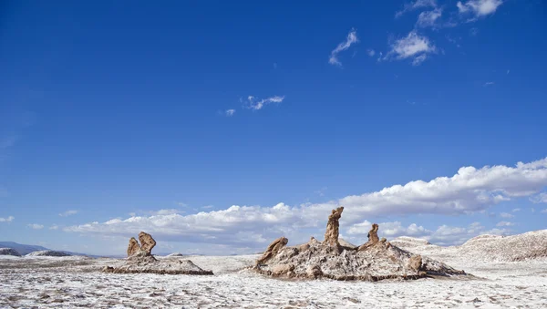 L'Arbre Marie dans la Vallée de la Lune, désert d'Atacama Chili — Photo