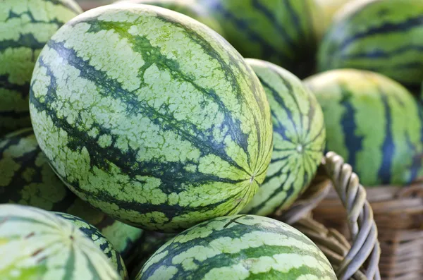 Watermelons — Stock Photo, Image