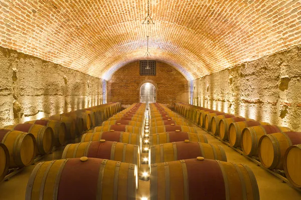 Rangées de tonneaux de vin dans une cave — Photo