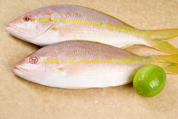 스 내 퍼를 노란색 꼬리 원시 물고기 및 라임 커팅 보드에 — 스톡 사진