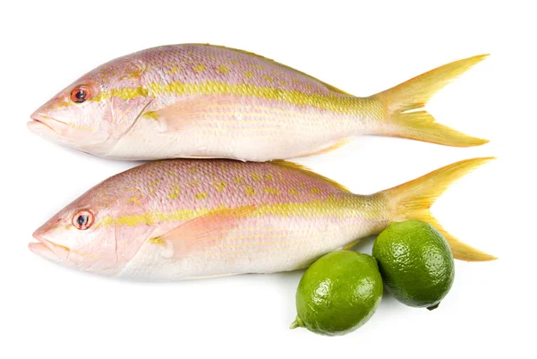 Nyers sárga farok sügér hal és Limes elszigetelt a fehér — Stock Fotó