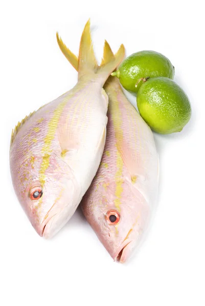 Syrové žlutý ocas kanic ryby a citrusy izolovaných na bílém — Stock fotografie