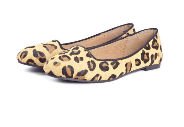 Women's Animal Print Flat Shoes — Stock Photo, Image