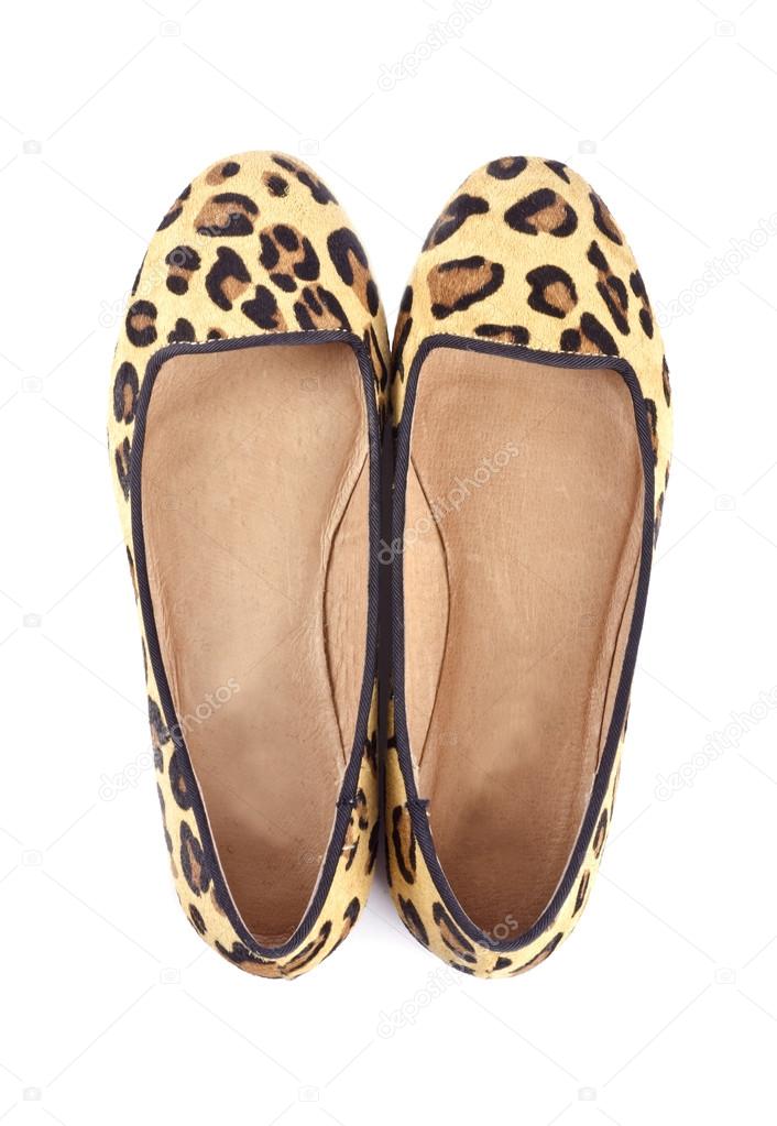 Women's Animal Print Flat Shoes