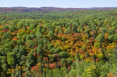 Gözcü iz algonquin Park sonbahar renkleri görüntüleme.