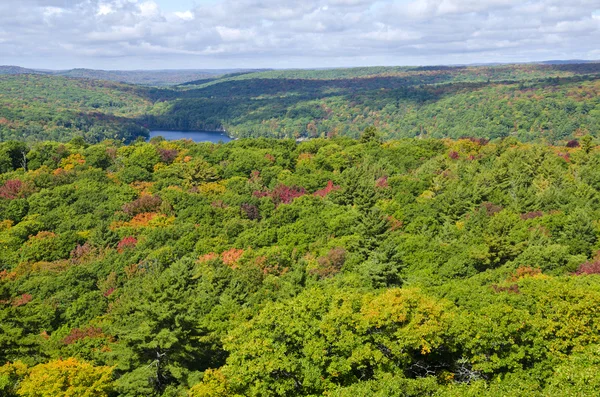 Blick auf Herbst Farben von dorset Turm in haliburton ontario — Stockfoto