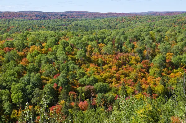 View of Fall Colors from Lookout Trail in Algonquin Park. — Stock Photo, Image