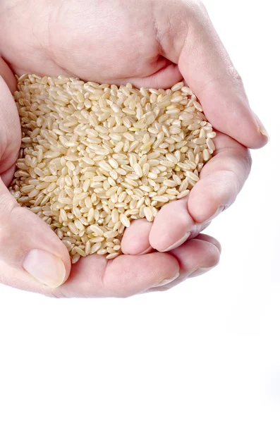 Eine Handvoll brauner Reis — Stockfoto