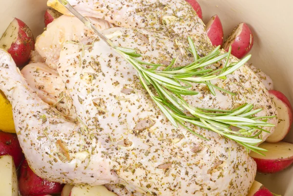 Pollo crudo con un rametto di rosmarino in un forno olandese — Foto Stock