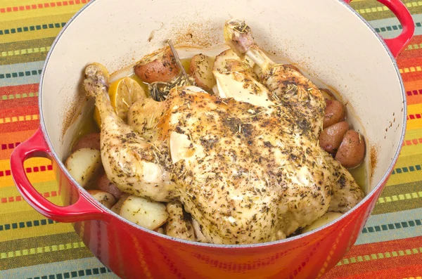Dutch Oven Roasted Chicken with Dried Herbs and Garlic — Stock Photo, Image
