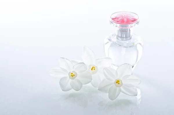 Perfum butelek i Narcyz kwiaty z podświetleniem — Zdjęcie stockowe