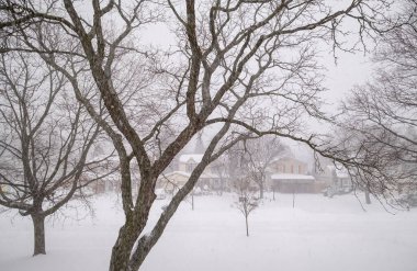 Kenar Mahallede Kar Fırtınası