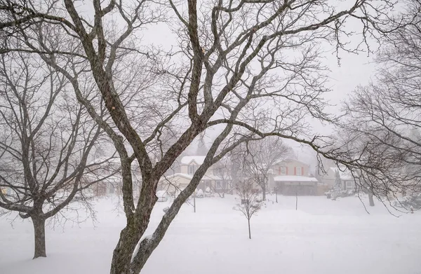 Kenar Mahallede Kar Fırtınası