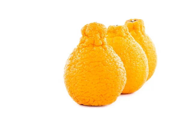 Three Sumo Mandarins Isolated White Background — Stock Photo, Image