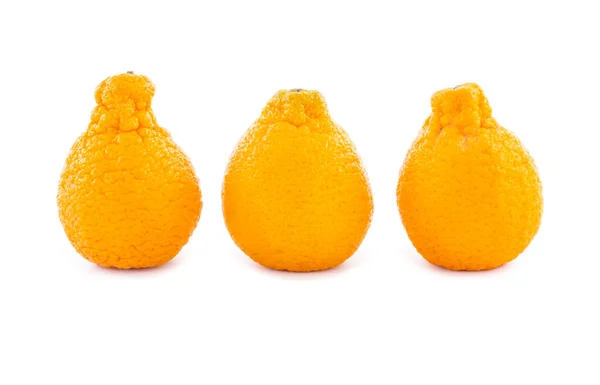 Three Sumo Mandarins Isolated White Background — Stock Photo, Image