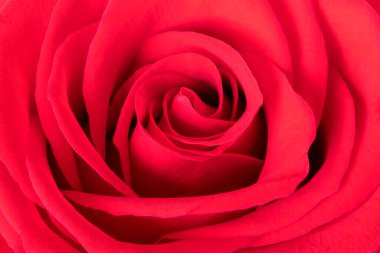 Bir Kırmızı Gül 'ün Kapanış Detayları