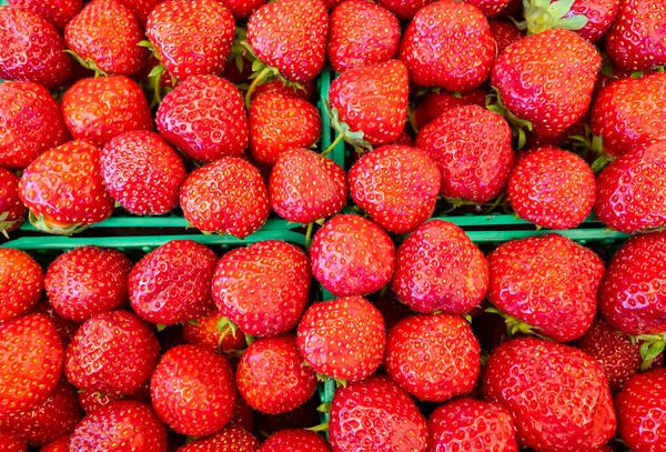 Bird Eye View Boxes Fresh Juicy Strawberries — Stock Photo, Image