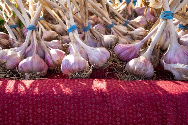 Bunch Freshly Harvested Garlic Bulbs Sale Outdoor Market — 图库照片