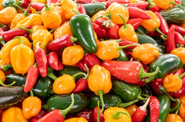 Closeup Various Kinds Colorful Spicy Peppers — Stock Photo, Image