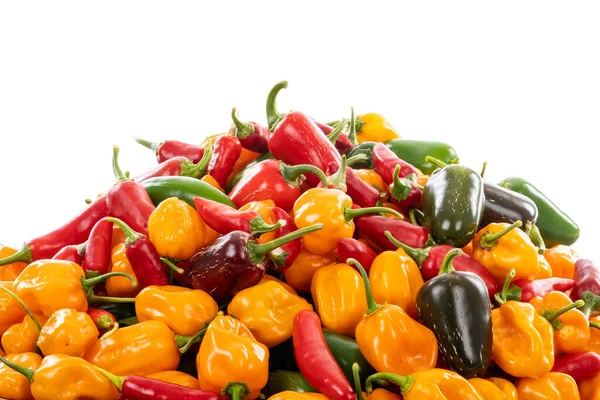 Closeup Bunch Colorful Hot Peppers Various Types Jalapenos Serrano Chilli — Stock Photo, Image