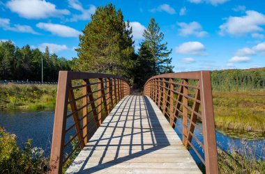 Bruce Bog Patikası, Algonquin Park, Ontario, Kanada