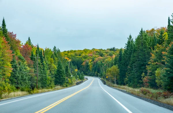 Fall Colors Highway Algonquin Park Canada — Stock fotografie