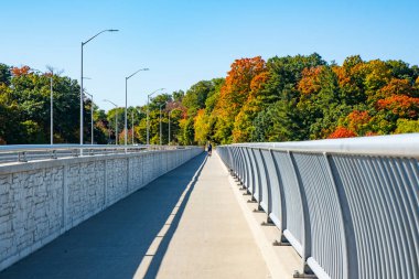 Güneşli bir sonbahar gününde, arka planda renkli yeşilliklerle bir köprüde bisiklet süren bir adam.