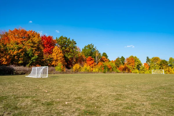 晴れた秋の日に背景にカラフルな木がある空のサッカー場 — ストック写真