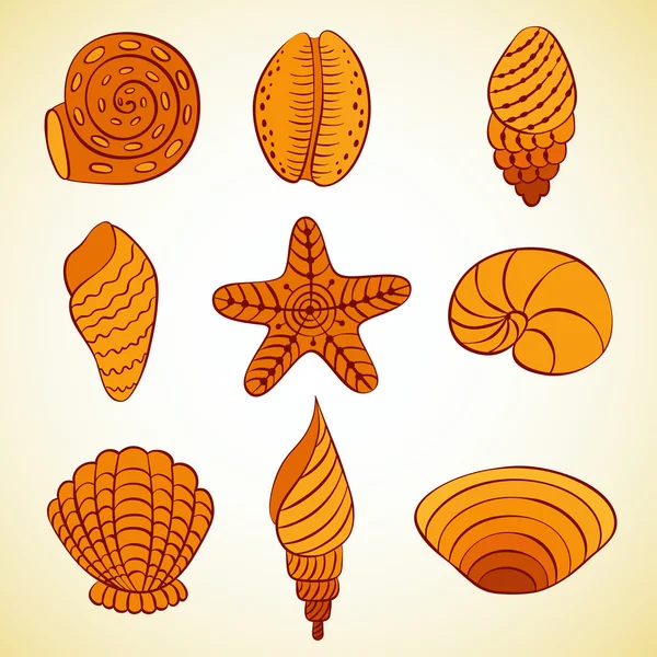 Seashell vektör set — Stok Vektör