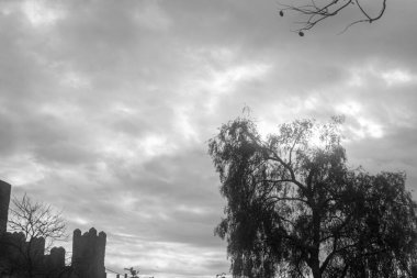 Bulutlu bir günde Almerya 'daki (İspanya) Parque de las Familias' taki parktaki şato ve ağaçların fotoğrafları