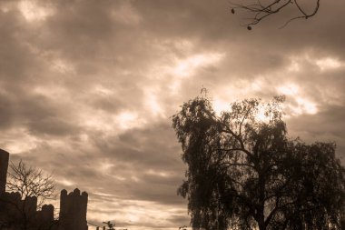 Bulutlu bir günde Almerya 'daki (İspanya) Parque de las Familias' taki parktaki şato ve ağaçların fotoğrafları