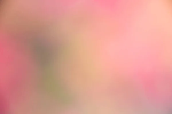 Bokeh etkisindeki ağaçların fotoğrafları. Soyut etki. Renk değişimiyle.
