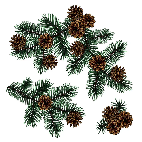 Branches Arbre Noël Avec Des Cônes Cadre Noël Composition Guirlande — Image vectorielle