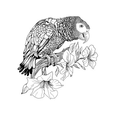 Contour for coloring, a parrot sits on a branch of a blossoming liana
